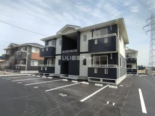 アイビーBの画像