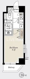 グランカーサ住吉【5階】の間取り