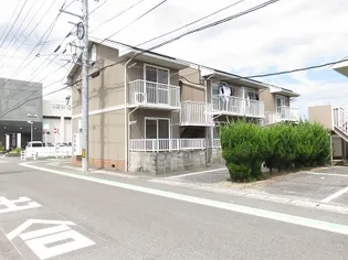 エヴァグリーンAの画像