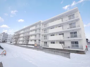 北海道札幌市西区西町南2【マンション】の外観