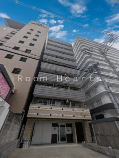 リズ新北野の画像