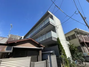 カシュカシュの画像