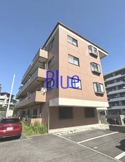 ドエル砂押橋の画像