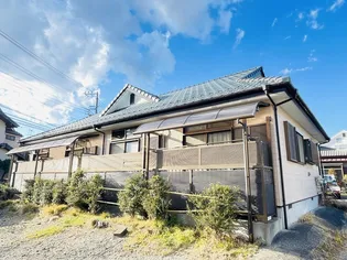 プレジオナカダの画像