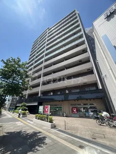 ロイヤルKJの画像