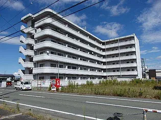 バローゼ7の画像