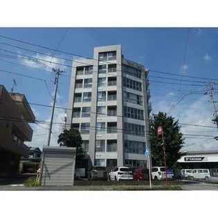 フェリシアスの画像