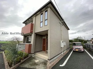 オリーブA Bの画像