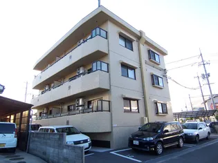 フィノ中島の画像