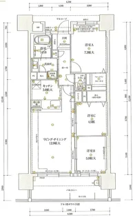 アンピール新町【14階】の間取り