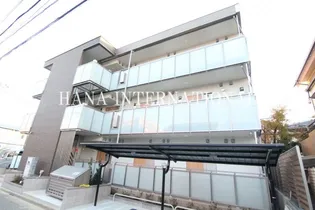 ミランダエレガンスの画像