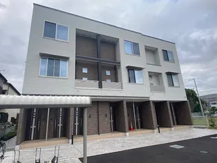 サザンボランチの画像