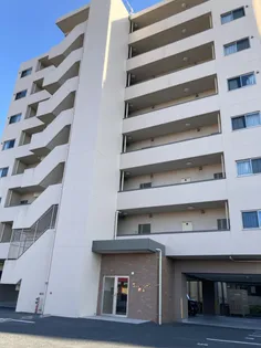 フォルトゥーナ美坂【4階】の外観