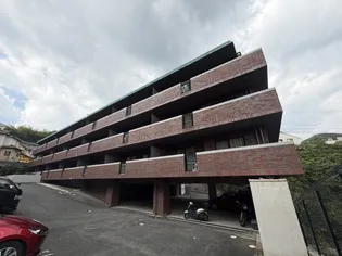 ステラKOIの画像