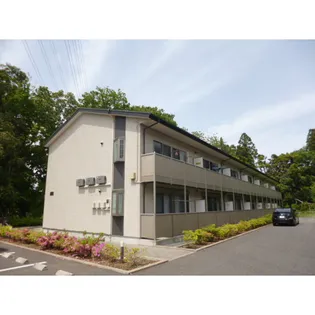 アムール 翼の画像