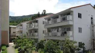 ツルビューハイツ本館【1階】の外観