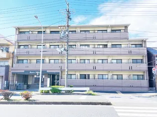 マジェスティシロトリ【2階】の外観