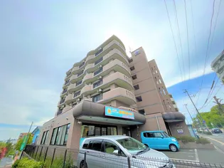 セントレアカマIIIの画像