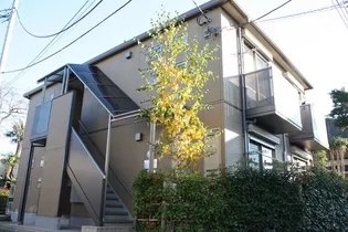 アトリオ桜の木の画像