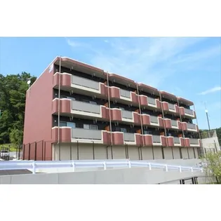 Y&M FOR YOUの画像