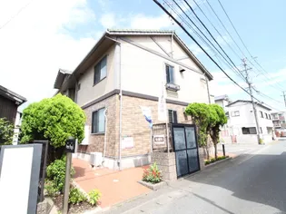 VERA FUJIの画像