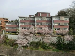 石川橋セブン【1階】の外観