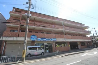 エバーグリーンの画像