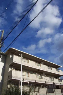 大阪府大阪市住吉区苅田3【マンション】の外観