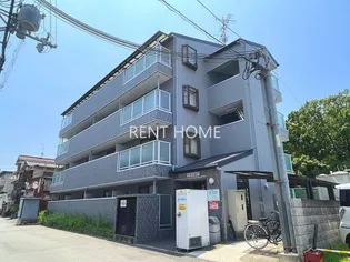 フルブルームの画像