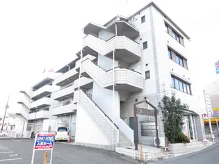 ハイムマツモトの画像