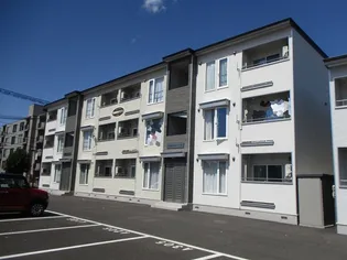 TOWN西5南17ベリーIIAの画像