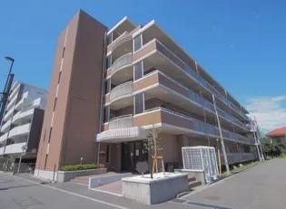 ソリドール立川の画像