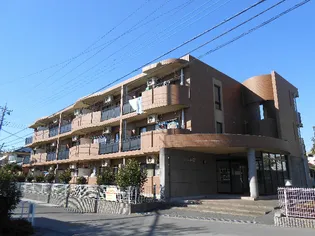 レインボー21の画像