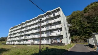 フィオーレガーデン【4階】の外観