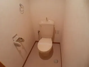 ライカムプレイス【4階】の内装