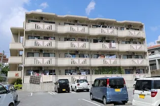 ライカムプレイス【4階】の外観