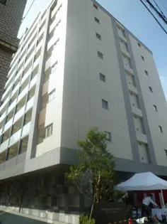 フレンシア菊川の画像