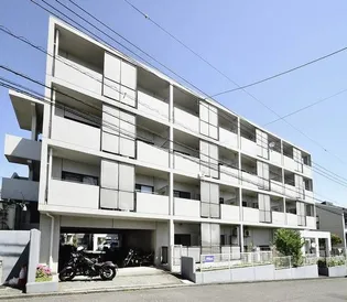 ブルーリーフ Kの画像