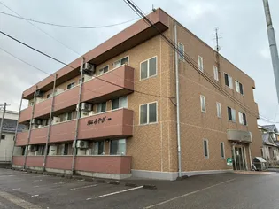 ピュアみやび一番館の画像