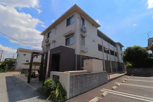 ソレイユ ドミュールの画像