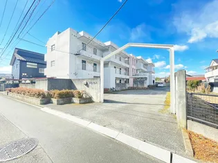 ファルコンの画像