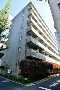 メゾン ド ヴィレ荻窪の画像