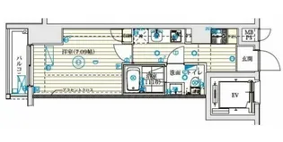 B City高田馬場alivie【5階】の間取り