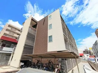 ミランダルッシェロの画像