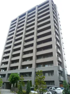 サーパス上の橋の画像