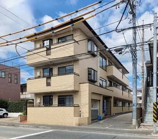 ダン ラヴニール梶ヶ谷の画像