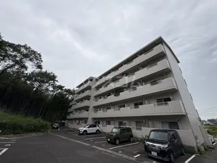 リバーハイツ向山の画像