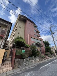 シャングリア丸太の画像
