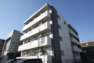 SEI SHELLIIの画像