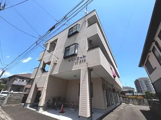 サニーコートMSIII号館の画像